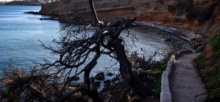 Κηφισίας Κύριλλος: “Νὰ ξαναφτιάξουμε τὸ Μάτι”