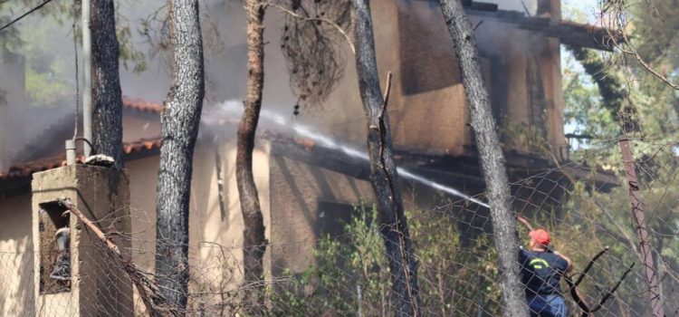 Χρονικό προανεγγελθείσης συμφοράς