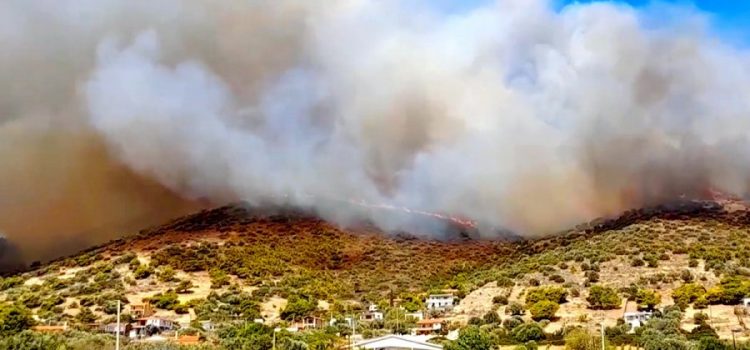 Νέες πυρκαγιές σε Μεσόγεια-Βίλια