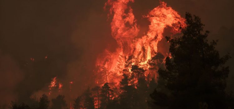 Τα βασικά αίτια των πυρκαγιών και οι ριζικές λύσεις