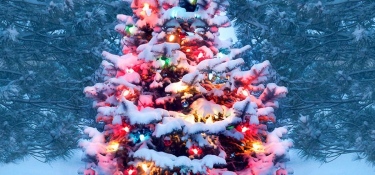 Στο όνομα της «ουδετερότητας» κινδυνεύουν και τα Χριστούγεννα