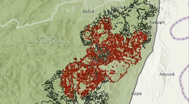 “Κάτι συμβαίνει” για να καίγεται επί τριετία ο πυρήνας της Δαδιάς