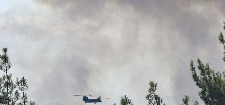 Μεγάλη οικολογική καταστροφή κι εφέτος από τις φωτιές
