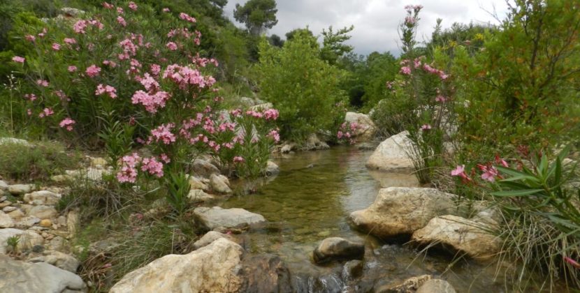 Ένας παράδεισος απειλείται με εξαφάνιση