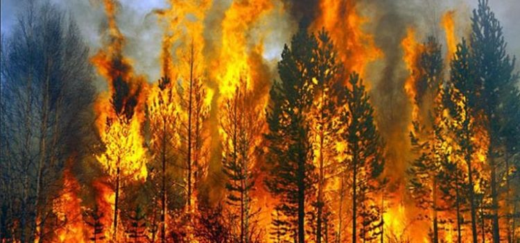 Τό κάλλος της φύσης εχθρός της ασχημίας των κερδοσκόπων