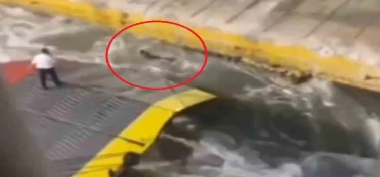 Ε.Σ.Α. με Α. : Εκδήλωση δυσμενούς διάκρισης το έγκλημα στον Πειραιά