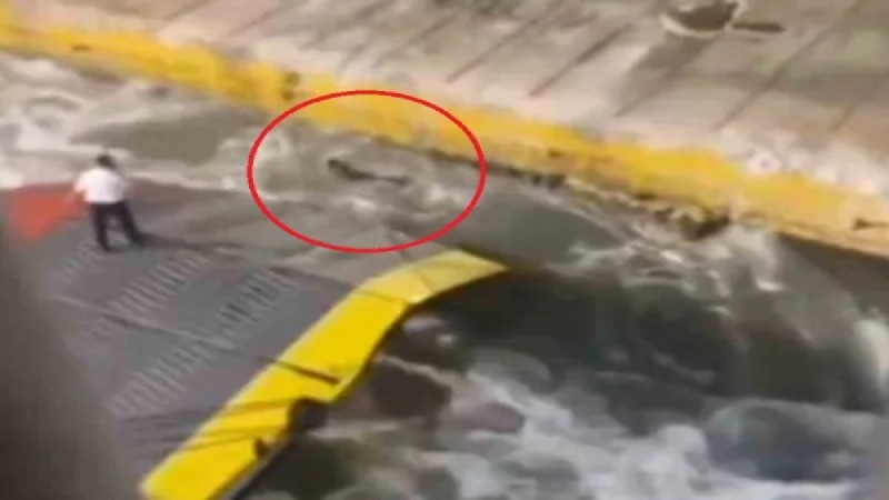 Ε.Σ.Α. με Α. : Εκδήλωση δυσμενούς διάκρισης το έγκλημα στον Πειραιά