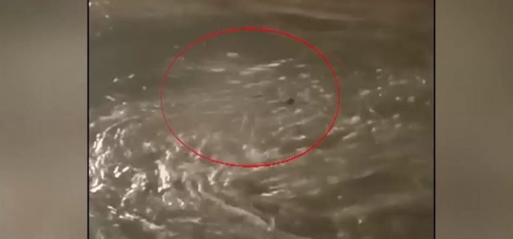 Ειδεχθής δολοφονία