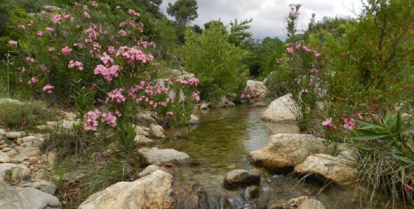Καταστρέφουν το Μεγάλο Ρέμα της Ραφήνας