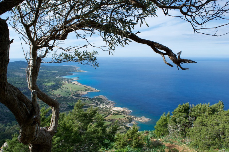 Πάσχα του Δεκαπενταυγούστου στην Κύπρο