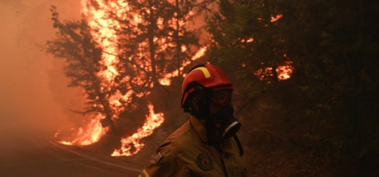ΧΔ: Δεν είναι κυβερνητική προτεραιότητα η προστασία του δασικού πλούτου της χώρας