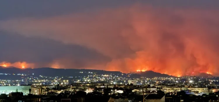 Έγκλημα η καταστροφή των δασών