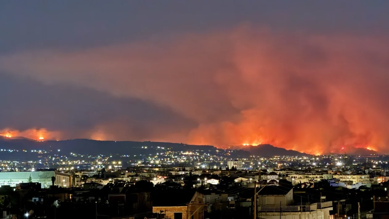 Έγκλημα η καταστροφή των δασών