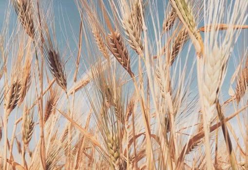 Εξόρμηση για ξεκίνημα σε νέα βάση