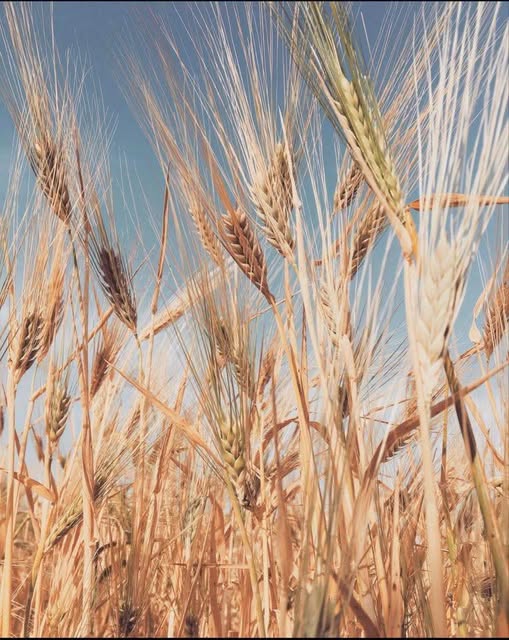 ΧΡΙΣΤΙΑΝΙΚΗ ΔΗΜΟΚΡΑΤΙΑ: Με το όραμα μιας νέας κοινωνίας