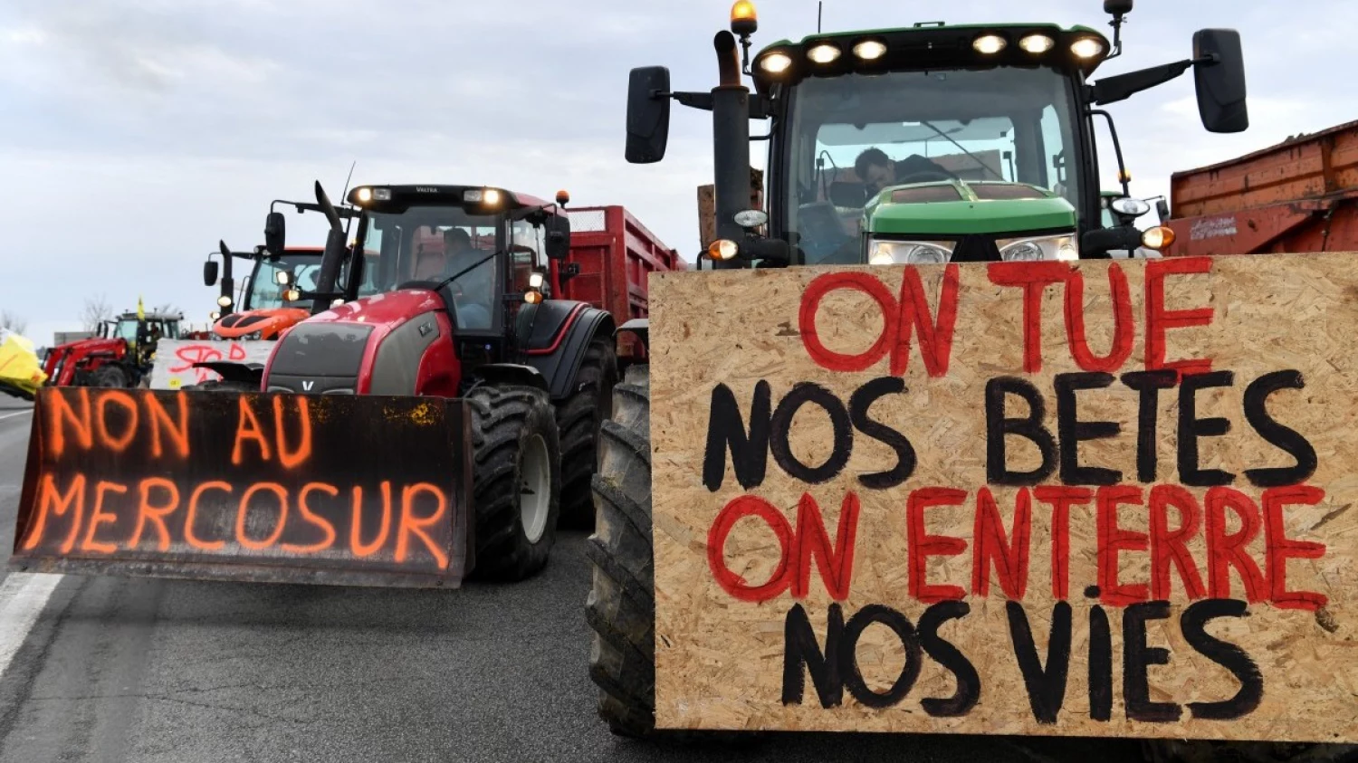 “Σκοτώνουν τα ζώα μας, θάβουν τις ζωές μας”