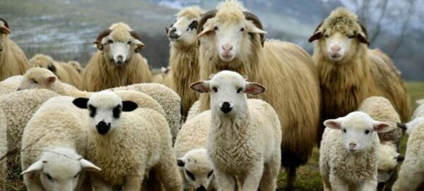 Η λωποδυσία στην εξουσία!